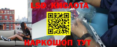 шишки Будённовск