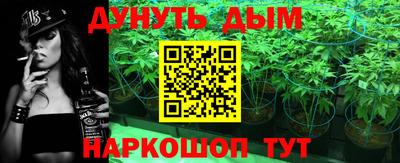шишки Будённовск