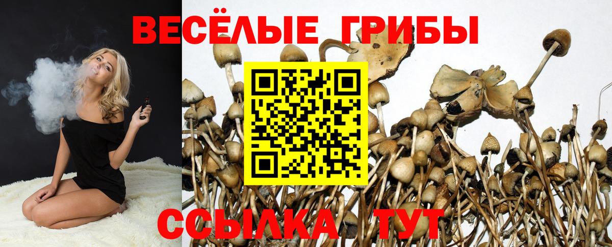 Галлюциногенные грибы Psilocybine cubensis  Вход с VPN  Тюмень 